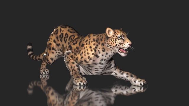 Leopard смотреть онлайн