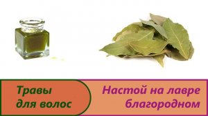Настой на лавре.Ополаскиватель на уксусе для смывания шампуневого мыла.Отвар лаврового листа волос