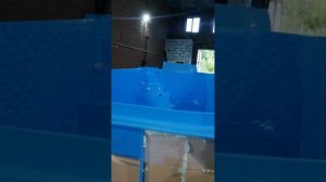 Производство бассейнов и ёмкостей в Новосибирске из полипропилена. PlastPro