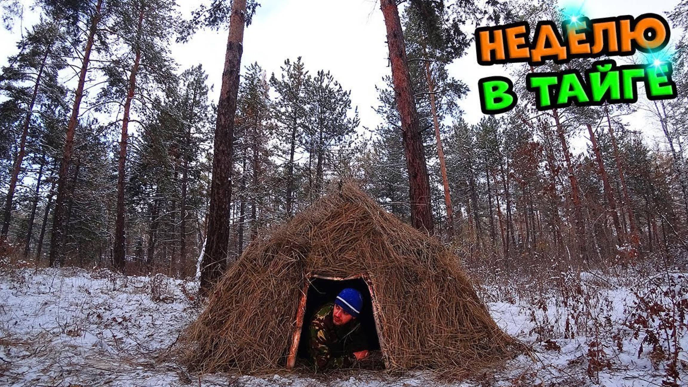 Выживание в лесу. Двое суток в лесу. Выживание в лесу зимой. Волкмикс.