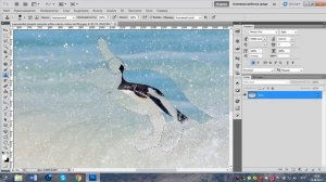 Как удалить предмет в фотошопе. Adobe Photoshop