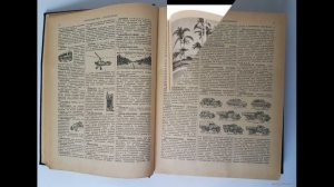 22 НОЯБРЯ - ДЕНЬ СЛОВАРЕЙ И ЭНЦИКЛОПЕДИЙ