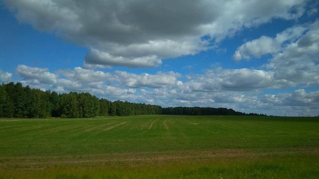 М Лермонтов  Бородино #стихиовойне#патриотическаялирика#поэты19века