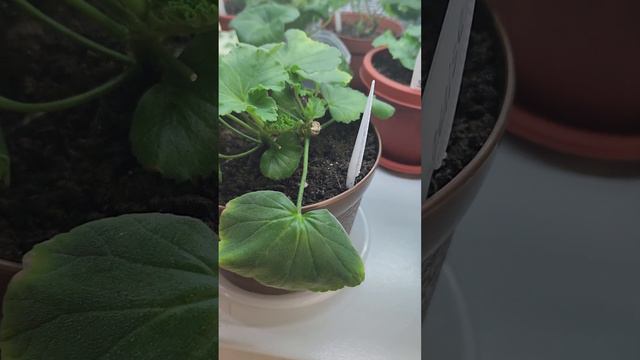 7 февраля 2023 г. смотреть онлайн