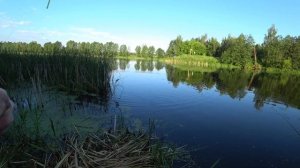 Таблетка для рыбалки в которая заставляет всю рыбу клевать. Таблетка на всю рыбу Название таблетк