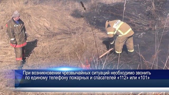 Берегите лес, наступил пожароопасный сезон! смотреть онлайн