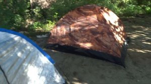 Рыбалка на Кубани 2021 Канадский -Американский сом Кубанский сом Карась Тарань Судак