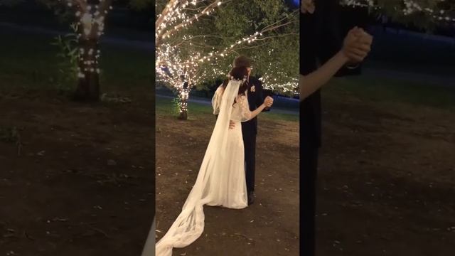 Клятва под волшебным деревом / венчание смотреть онлайн