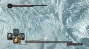 Аава, питомец короля Dark Souls 2