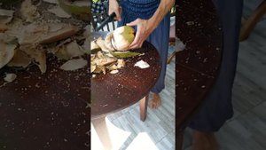Унаватуна 20.03.2017 отель Sea View Beach 3* номер 14, Deluxe