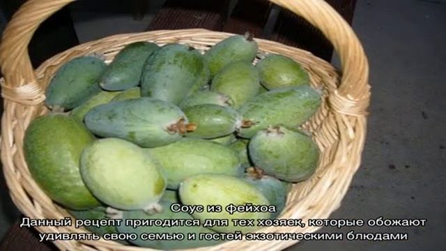 Как приготовить фейхоа: самые лучшие рецепты с фото