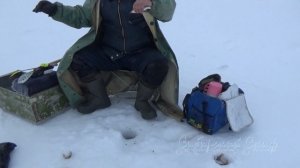 Рыбалка со льда окунь елец. Подводная съёмка оз.Сартлан