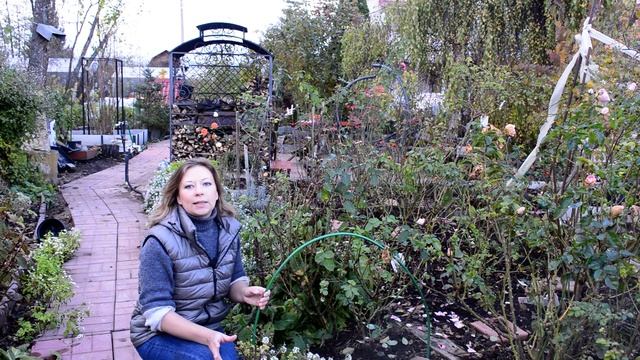 Как обрезать розы на зиму. Подготовка роз к зиме. Когда укрывать розы. Все вопросы про розы осенью!