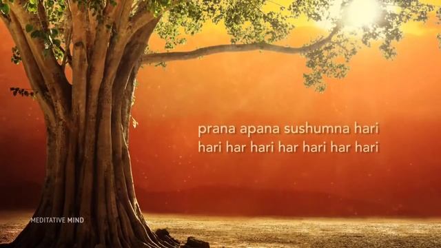 This meditation will help you calm the magical healing mantras ✓ Prana Apana Sushumna Hari смотреть онлайн