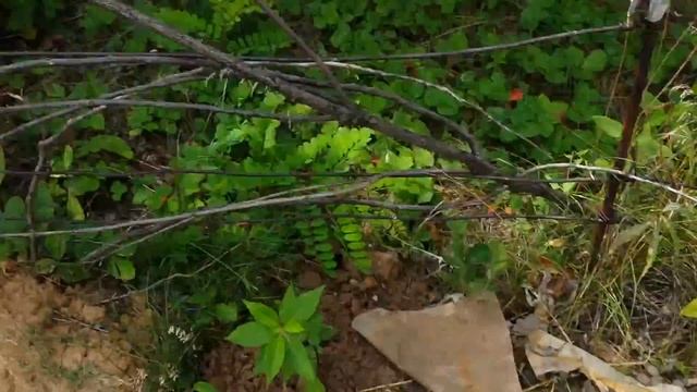 Опилкобетон под баню смотреть онлайн