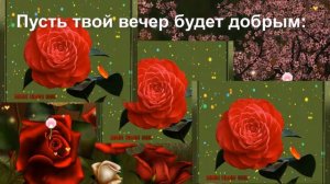 🌹Добрый вечер! 🌹Очень красивое Пожелание с Добрым Вечером!