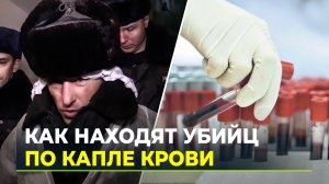 Разгадать умысел преступника: один день с экспертом-криминалистом