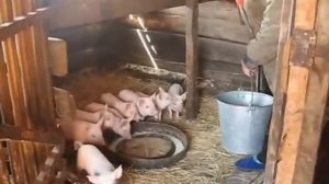 Будни села Урлук режиссер Юлия Преймак (Ягудина) в съемках принимали участи школьники с. Урлук.