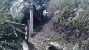 Взятие в плен одичалых укров..