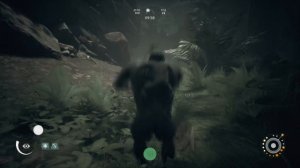 Ancestors The Humankind Odyssey 2019 ПРОХОЖДЕНИЕ #5