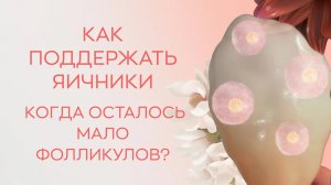 🩺 Как поддержать яичники, когда осталось мало фолликулов?