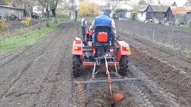 Минитрактор нужен везде. посадка малины!#сад #мототрактор