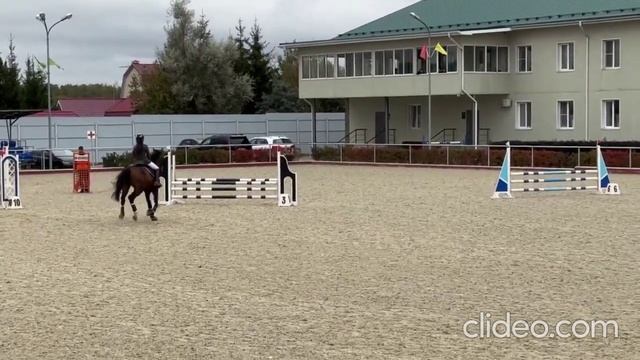 Очень перспективный конкурный конь. Арт.: 0102 смотреть онлайн