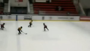 Маленькие хоккеисты устроили потасовку