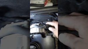 Audi A4  течет антифриз