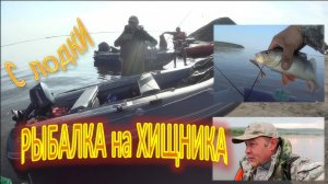 Рыбалка с лодки на Судака. Берша и Щуку. ( р. Кама  Красный бор )