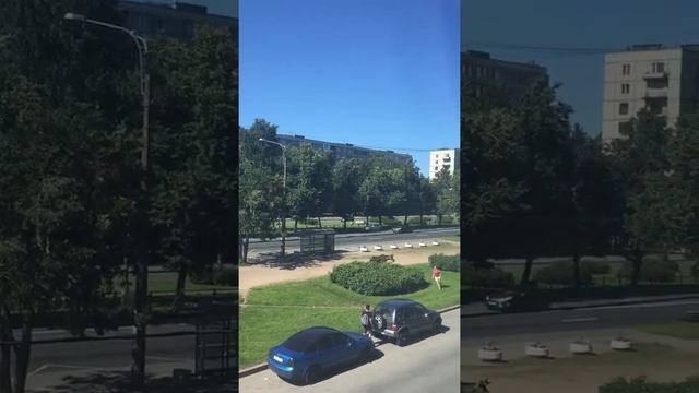сбежал лось Санкт-Петербург , Калининский район , академическая ,гражданский проспект смотреть онлайн