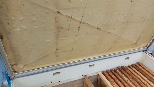 Самодельный пчелиный улей из старого холодильника смотреть онлайн