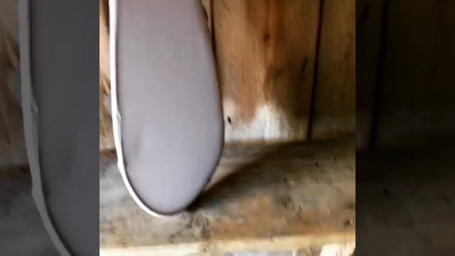 Опахало для бани и сауны в деревенской бане #opaxalo смотреть онлайн