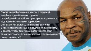МАЙК ТАЙСОН ПРОТИВ ГОРИЛЛЫ - КТО ПОБЕДИТ?
