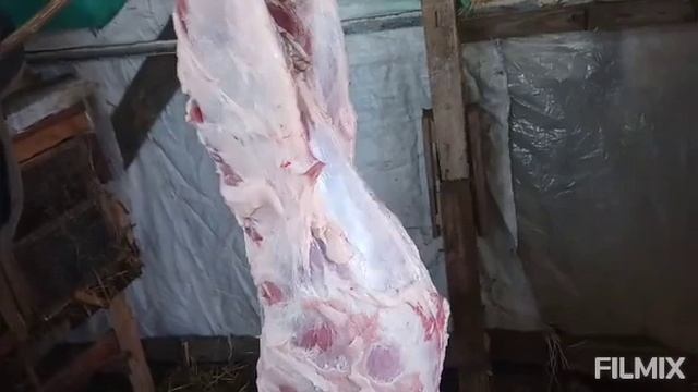 як забити #кнура ( #хряка) щоб не було запаху смотреть онлайн