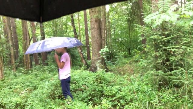 Печёная картошка на углях под дождём.? смотреть онлайн