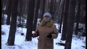 🎄Осенью,летом,весной и зимой.И будем жить,и будем петь.Песня