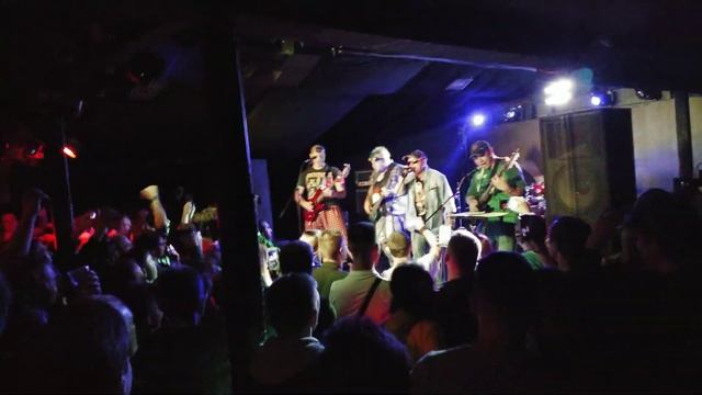 Красная плесень 25 мая Питер в первый раз смотреть онлайн