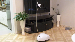 BotEyes-Mini - робот видеонаблюдения и телеприсутствия