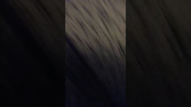 Мая квартира лайки и кот смотреть онлайн