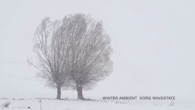 WINTER AMBIENT Korg wavestate смотреть онлайн