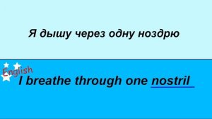 Части тела на английском: голова.  Английские слова.  Английский для начинающих