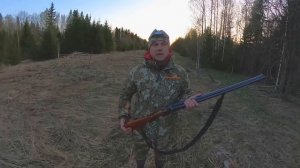 Охота на вальдшнепа на тяге с курковкой ТОЗ-БМ.