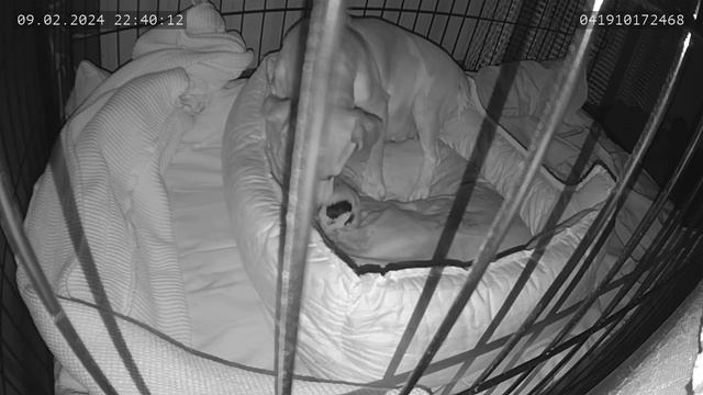 10 февраля 2024 г. смотреть онлайн