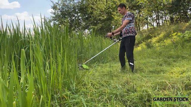 Аккумуляторный триммер косит траву лучше бензинового!...Триммер аккумуляторный Greenworks