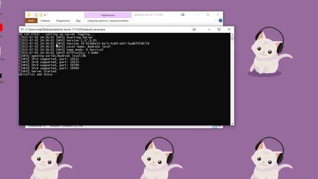 Включение Вайтлиста на ванильном Майнкрафт Бедрок сервере | Майнкрафт PE / BE Whitelist смотреть онлайн