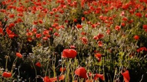 Марс в Раке для мужчин