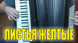 Листья желтые на аккордеоне Аккордеонист (аккордеон кавер)