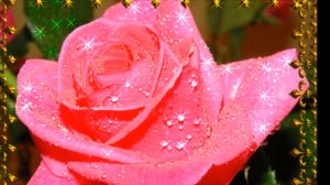 Все цветы друзьям