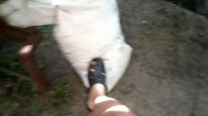 Самодельная кукурузолущилка, незаменимая в хозяйстве своими руками